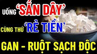 BÁC SĨ Mách Bạn "VỀ GIÀ UỐNG SẮN DÂY CÙNG THỨ RẺ TIỀN NÀY" RUỘT CỰC KHỎE,  SẠCH GAN KHỎE THẬN