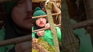 #survival #shelter #bushcraft