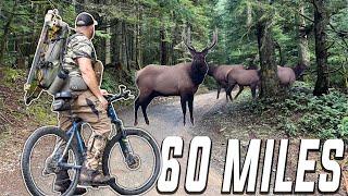 We BIKED 60 MILES To Kill an OTC Bull Elk! (Public Land)