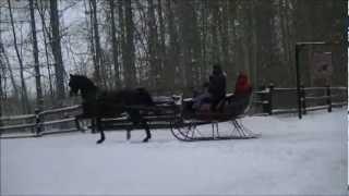 Sleigh Ride @ Shea Stables February 8 2013