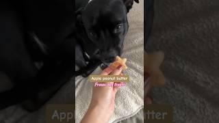 Apple peanut butter frozen dog treat recipe!