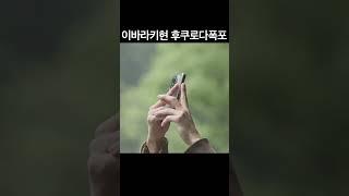 한국인이 잘 모르는 #일본여행 #힐링 #후쿠로다폭포 #shorts
