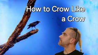 Learn How To Crow [In 5 Minutes] - How To Call Crows - Befriending Crows - Learn Stuff With Onen