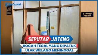 Innalillahi, Araya Bocah Tegal yang Dipatuk Ular Welang Meninggal Setelah 6 Hari Koma