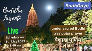 Buddha Jayanti 2023 | rituals under the Holy Bodhi tree Live scheduled on 5th May 2023 at 8:45 am