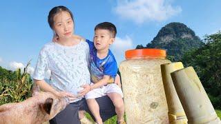 A 5-month pregnant mother harvests bamboo shoots to make pickles - Daily life