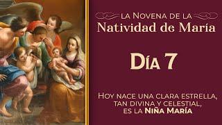 Novena por la Natividad de la Virgen María - Día 7   Padre Ricardo del Campo  #novena