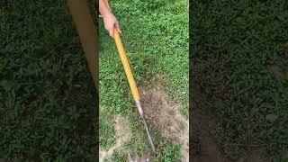 #Agricultural tools #Seven-toothed nail rake #Seven-toothed rake #Loose soil weeding #Weeding