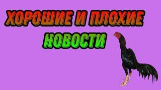 ХОРОШИЕ И ПЛОХИЕ НОВОСТИ