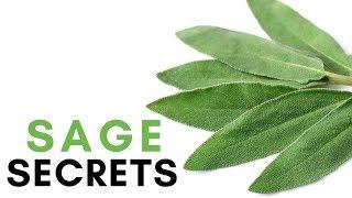 Sage | Sage Herb Benefits For Memory and Alzheimer's Disease | 2 Minute Nutrition