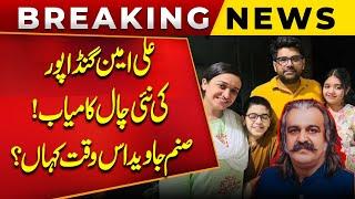 Ali Amin Gandapur Planning Successful | Sanam Javed is Time Kahan Hain? Public News