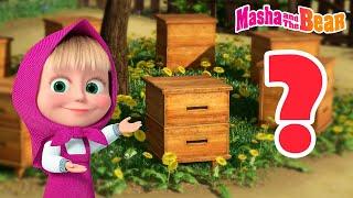 Masha and the Bear 2024  Find the itemBest episodes cartoon collection 