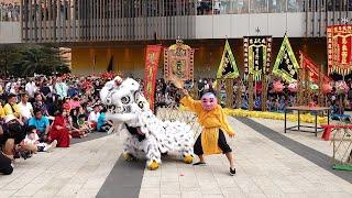 World Dragon & Lion Dance Extravaganza Malaysia Edition 2024 - 2024年马来西亚世界龙狮节