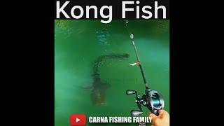 Amazing Catfish Strike  #fishing #bigfish #silure #shorts