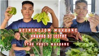 star fruit Mukbang|| Heiningijom || कमरख #starfruit  @rajibthengujam5485