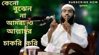 ️আল্লামা মামুনুল হক।। allama mamunul haque WhatsApp status /short waz