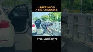 小狗被异物卡住头       好心男子上演爱心救援