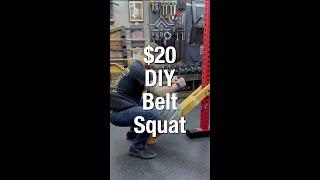 $20 DIY belt squat, a quick tutorial for the home gym