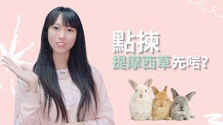 Moon Rabbit 穴兔｜點揀提摩西草先啱？