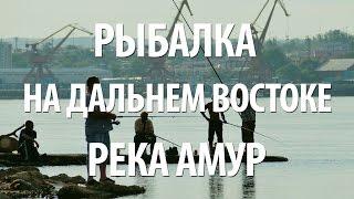 РЫБАЛКА в ХАБАРОВСКОМ КРАЕ на АМУРЕ