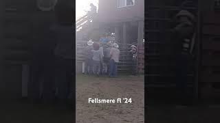 10 y.o bull rider lands on his head! #floridacracker #rodeo #wrangler #pbr #cowboy