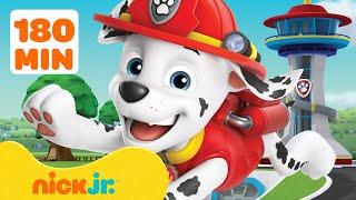 Patrulha Canina | Os Resgates Mais Ousados de Marshall da Patrulha Canina!  3 Horas | Nick Jr.