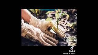 HOW TO SAVE  EARTH   #SAVEWORLD#SAVETHEANIMALS