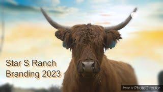 Star S Ranch Branding 2023