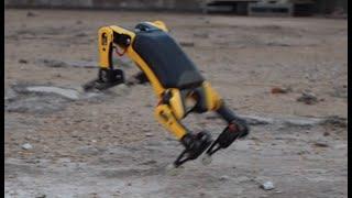 Jumping Bittle Challenge by the World's First Realistic Palm-Sized Robot Dog