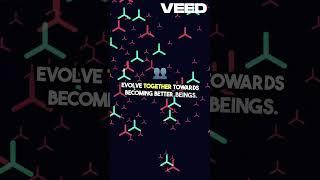 The Endless Journey of Souls  Connected Evolution