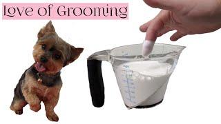 How to Froth Dog Shampoo | Bathing a Yorkie with Froth