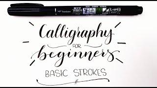 Calligraphy For Beginners: Basic Strokes