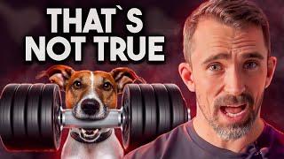 Mythbusters: 10 Dog Myths You Need to Know