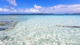 Beautiful Clear Blue Waters of The Caribbean Sea