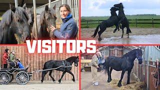 Visitors at Stal G. What a great day this was! | Friesian Horses