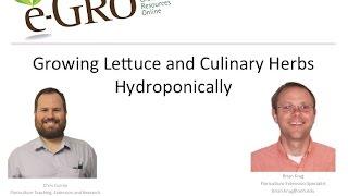 e-GRO Webinar - Growing Lettuce and Culinary Herbs Hydroponically