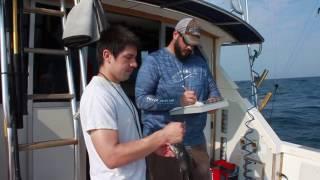 Tracking black sea bass with Reed Brodnik