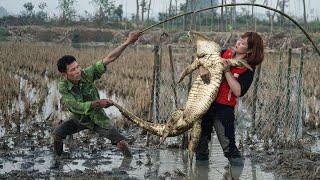 Make Giant CROCODILE Trapping - Harvest Duck on the Farm Goes to the Market Sell | Free New Life