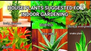 Best trending House plants for #IndoorGardening. #Home_gardening_and_ideas #viral