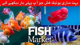 Fish aquarium Karachi || model aquarium fish aquarium market Karachi Pakistan update price 