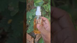 Fenugreek water for hair loss#shorts