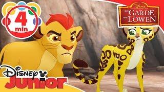 Kion und die Zebras - Die Garde der Löwen | Disney Junior Kurzgeschichten