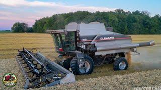 Gleaner R65 Combine Harvesting Wheat