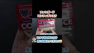 ファンガードコンフィデンス？【バス釣りオールドルアー】