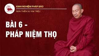 Bài 6: 3 Loại Cảm Giác Khổ, Lạc, Không Khổ Không Lạc & Pháp Thiền Quán Thọ - Ngài Kim Triệu