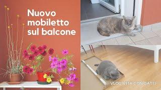 Sabato sul balcone | colazione, nuovo mobiletto, miciogatti