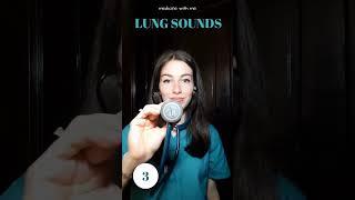 Lung Sound Part 3 , Rhonchi