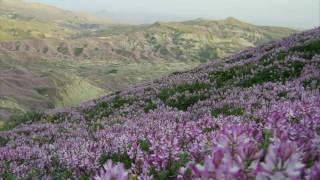 Promenade Aurèssienne à Djellal - جولة أوراسية في جلال