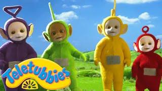 Teletubbies | The Teletubbies Get Stuck |