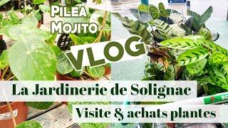Visite de la Jardinerie Solignac (31) & achats #plantesd'interieur (VLOG)